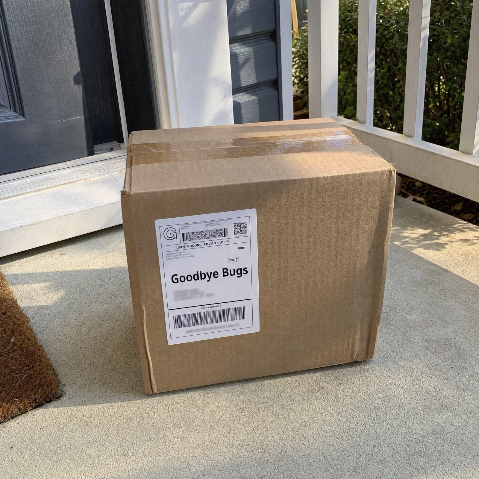 A 'Goodbye Bugs' delivery box on a sunny front porch.